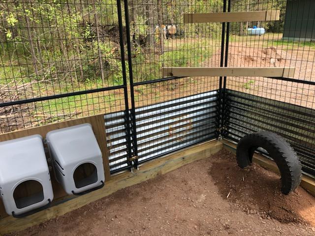 Reliable Repair Michigan handyman service Marquette northern builder chicken coop